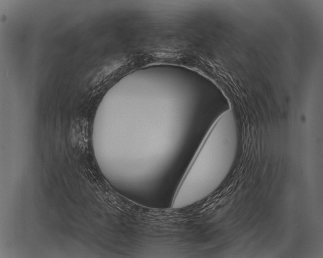 X0000086741301200704130722