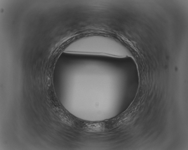 X0000086741303200704130722