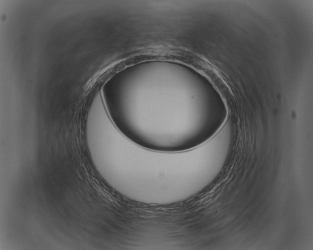X0000086741304200704130722