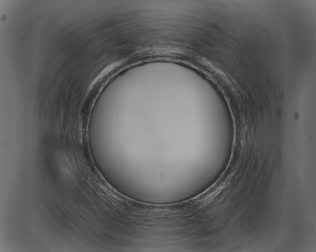 X0000086741306200704130722