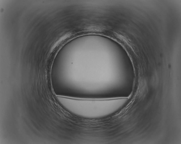 X0000086741307200704130722