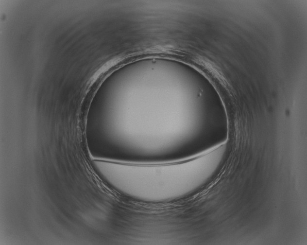 X0000086741308200704130722