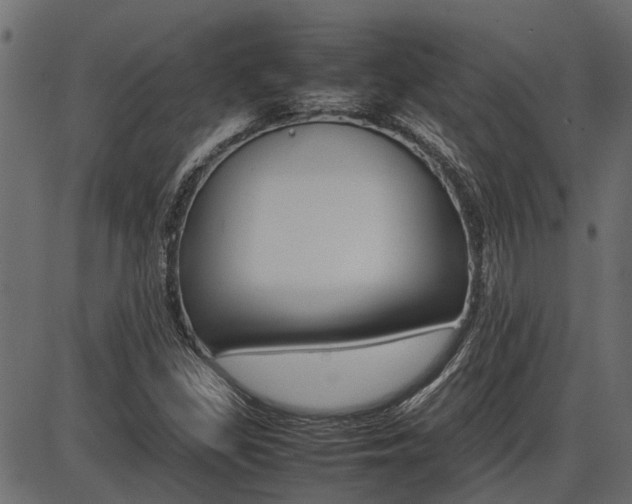 X0000086741309200704130722