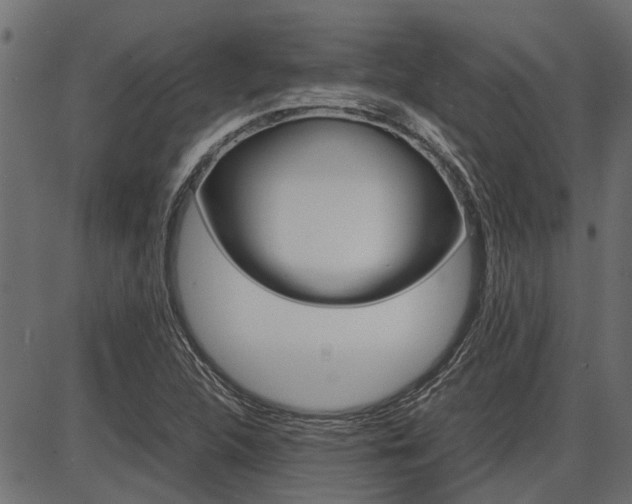 X0000086741312200704130722