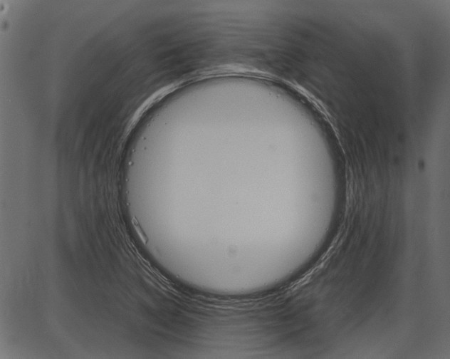 X0000086741314200704130722