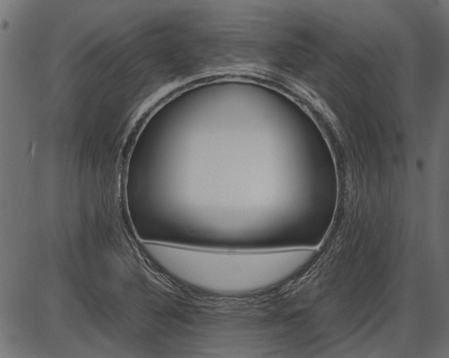 X0000086741316200704130722