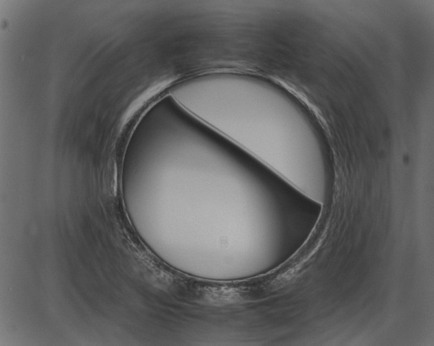 X0000086741317200704130722