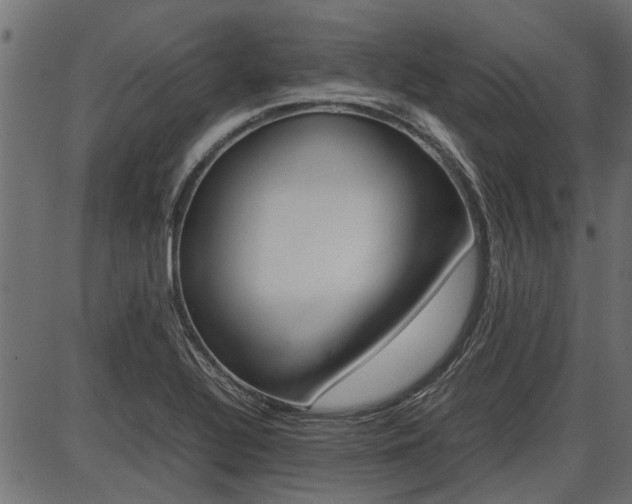 X0000086741320200704130722