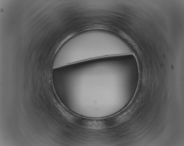 X0000086741321200704130722