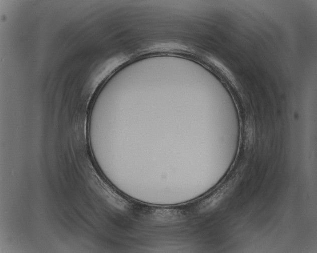 X0000086741322200704130722