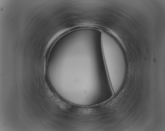 X0000086741323200704130722