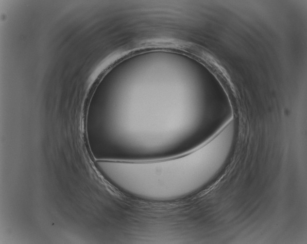 X0000086741328200704130722