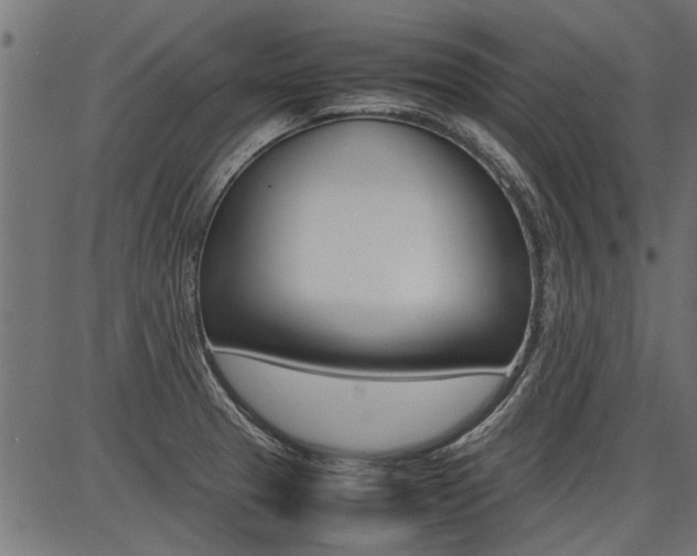 X0000086741329200704130722