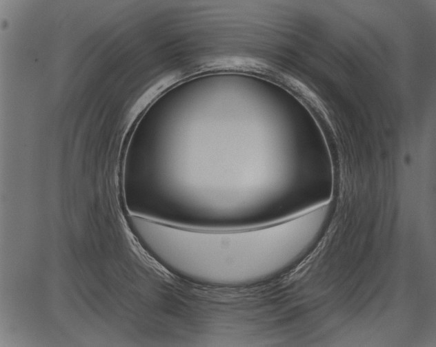 X0000086741330200704130722