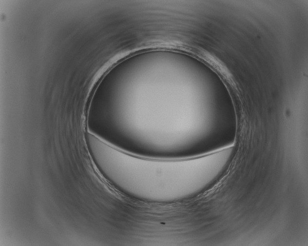 X0000086741332200704130722