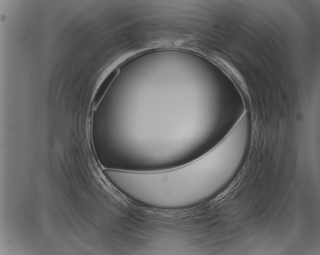 X0000086741340200704130723