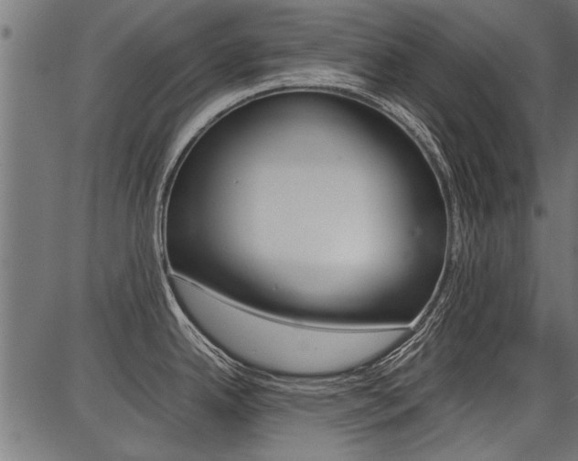 X0000086741342200704130723