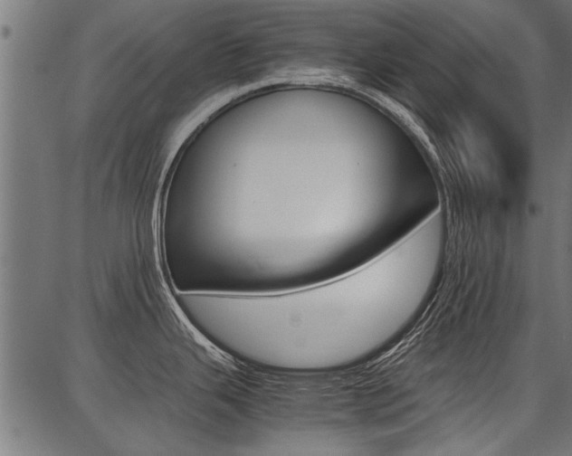 X0000086741343200704130723