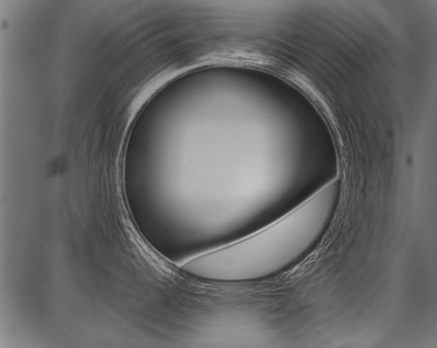 X0000086741344200704130723