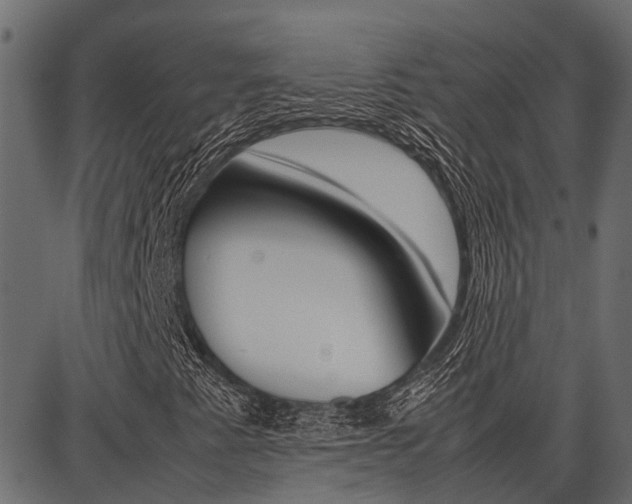 X0000086741345200704130722