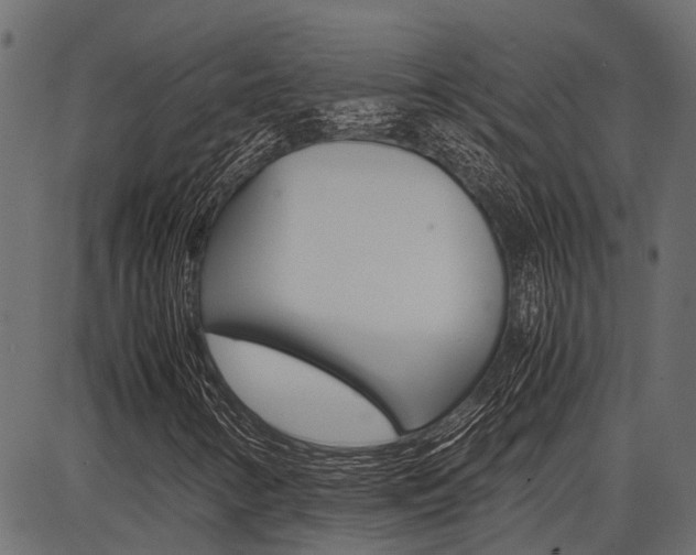 X0000086741346200704130722