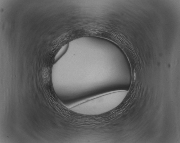 X0000086741347200704130722