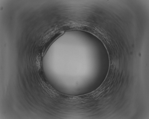 X0000086741348200704130722