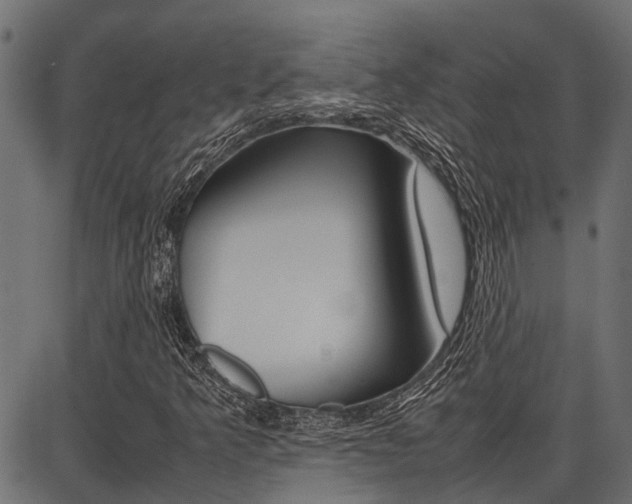 X0000086741349200704130722