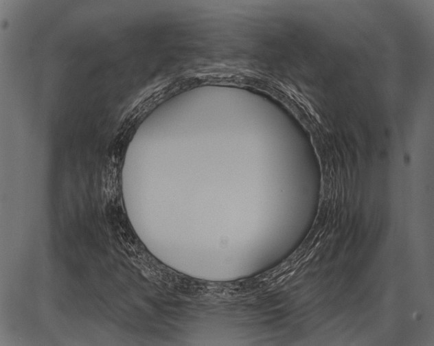 X0000086741350200704130722