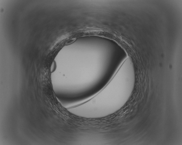X0000086741351200704130722