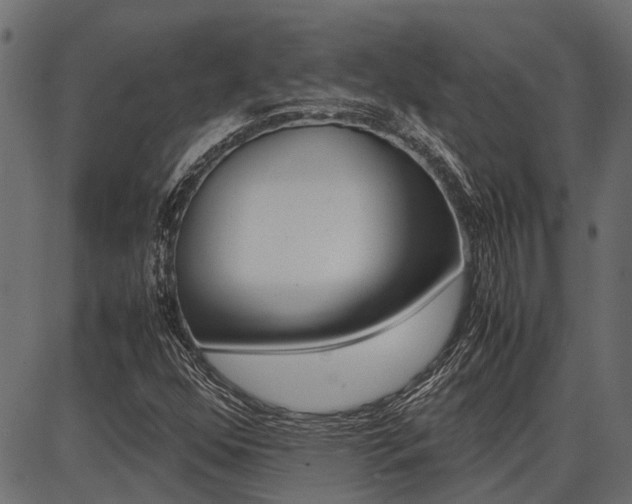 X0000086741352200704130722