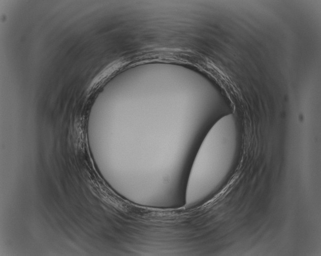 X0000086741354200704130722