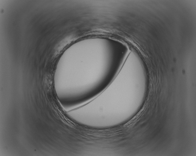 X0000086741355200704130722