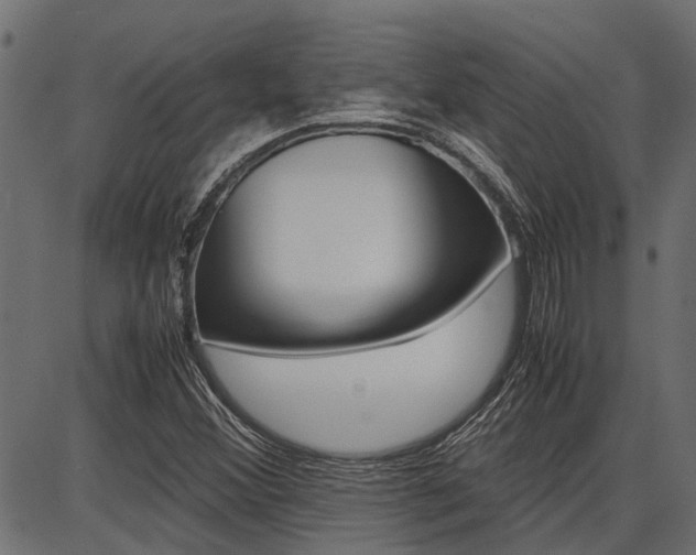 X0000086741356200704130722
