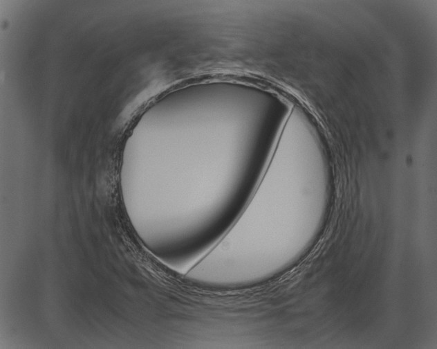 X0000086741359200704130722