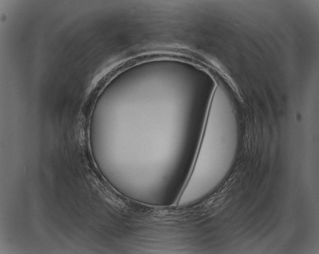 X0000086741360200704130722