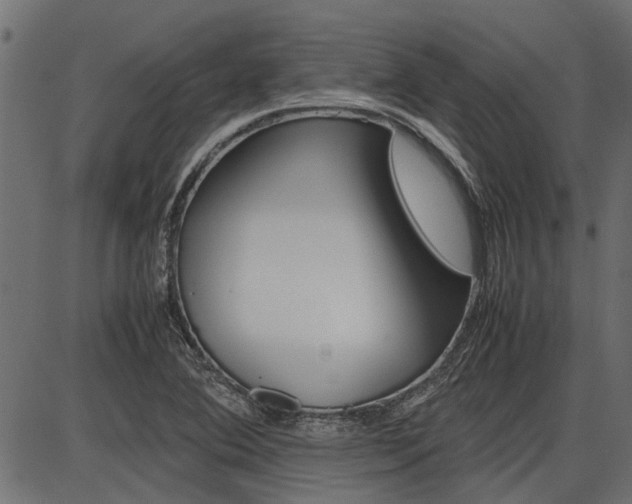 X0000086741364200704130722