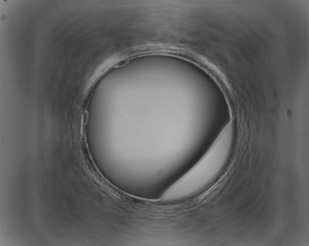 X0000086741365200704130721