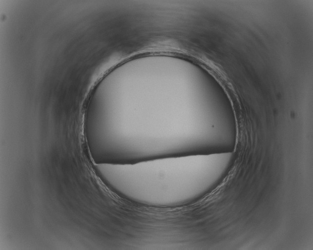 X0000086741366200704130721