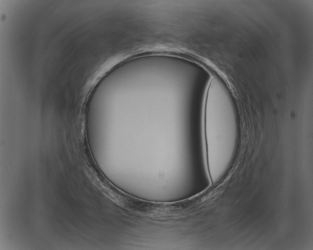 X0000086741367200704130721