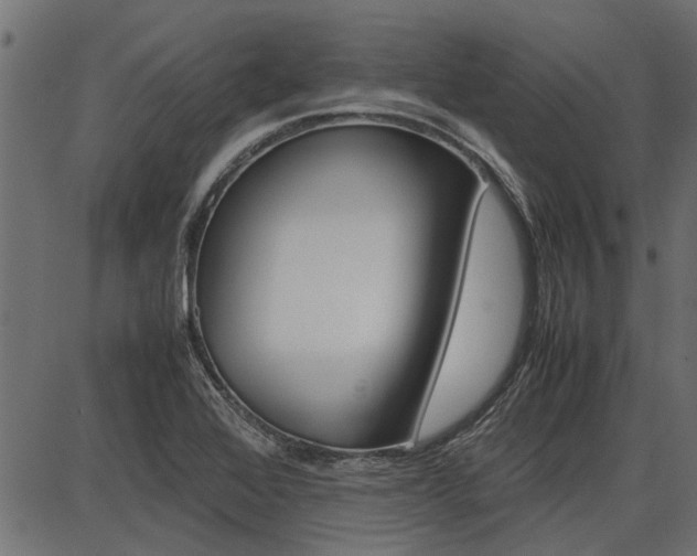 X0000086741368200704130721