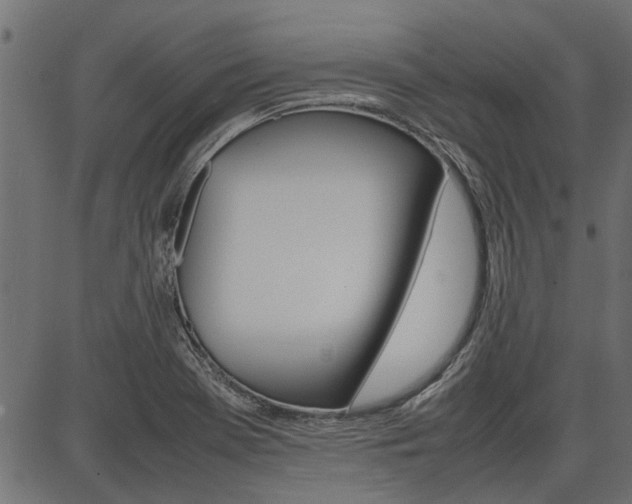 X0000086741369200704130721