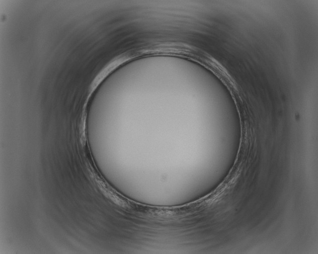 X0000086741370200704130721