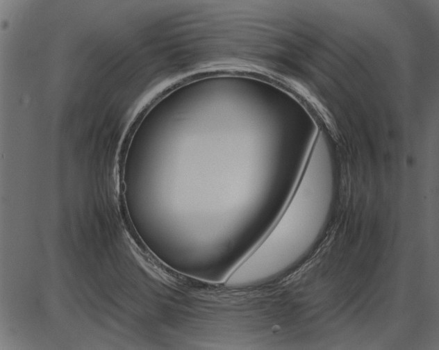 X0000086741372200704130721