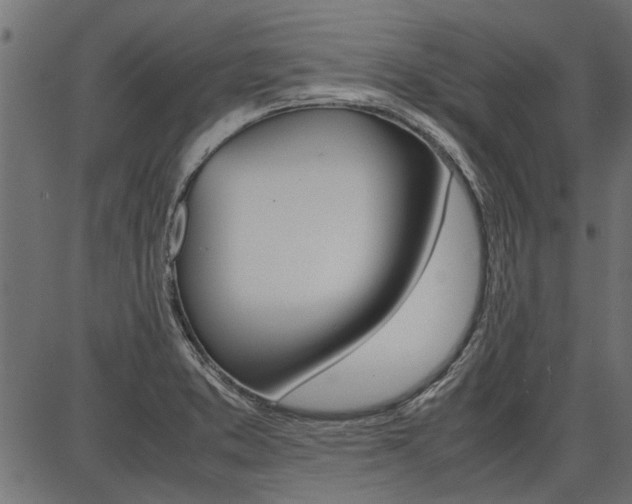 X0000086741373200704130721
