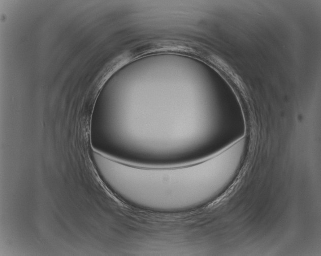 X0000086741377200704130721