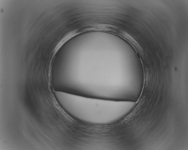 X0000086741378200704130721