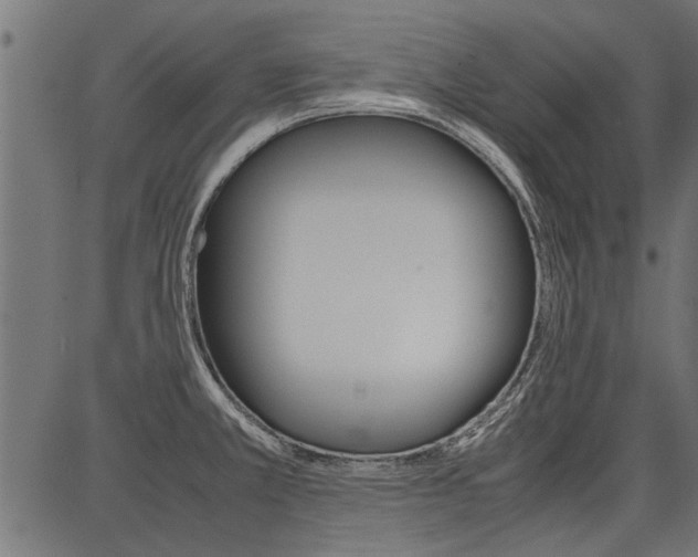 X0000086741381200704130721