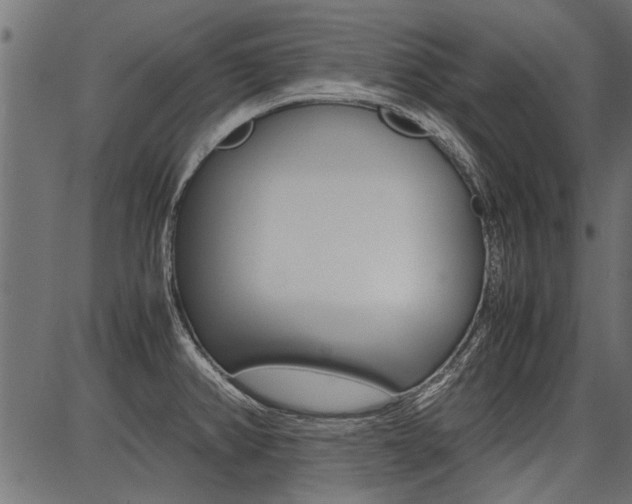 X0000086741382200704130721