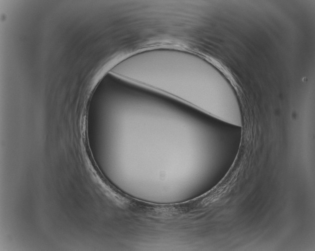 X0000086741383200704130721